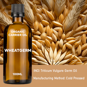 10x Wheatgerm Organic Base Oil 100ml - White Label