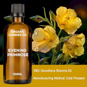 10x Evening Primrose Organic Base Oil 100ml - White Label