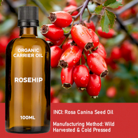 10x Rosehip Organic Base Oil 100ml - White Label