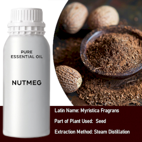 Nutmeg Bulk Essential Oil