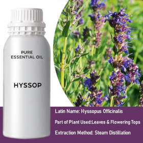 Hyssop Bulk Essential Oil