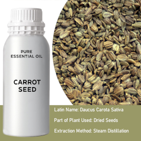 Carrot Seed Bulk Essential Oil