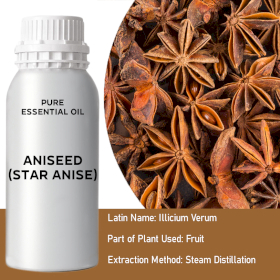 Aniseed (Star Anise) Bulk Essential Oil