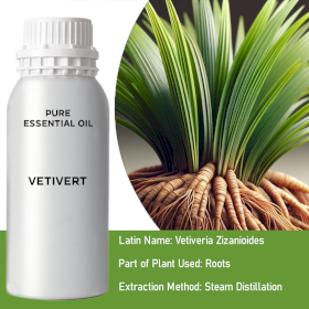 Vetivert Bulk Essential Oil