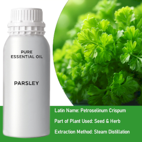 Parsley Bulk Essential Oil
