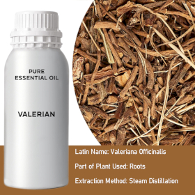 Valerian Bulk Essential Oil
