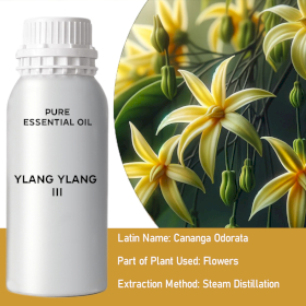 Ylang Ylang III Bulk Essential Oil