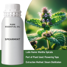 Spearmint Bulk Essential Oil