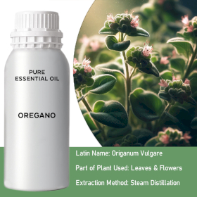 Oregano Bulk Essential Oil