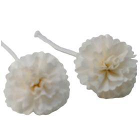 12x Natural Diffuser Flowers - Med Carnation on String