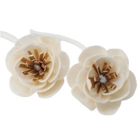 12x Natural Diffuser Flowers - Small Poppy on String