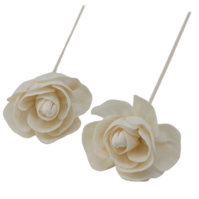 12x Natural Diffuser Flowers - Rose on Reed