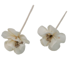 12x Natural Diffuser Flowers - Lily on Reed