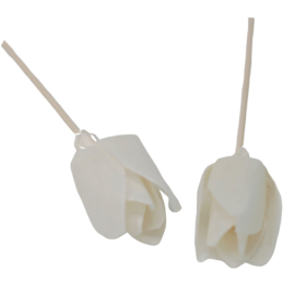 12x Natural Diffuser Flowers - Tulip on Reed