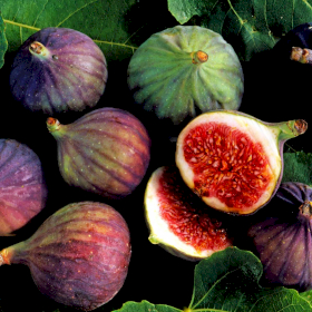 Fresh Fig Flavour Oil