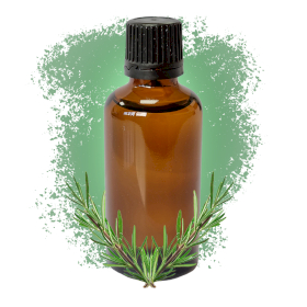 10x Rosemary Essential Oil White Label - 50ml