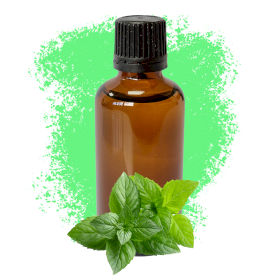 10x Peppermint Essential Oil 50ml - White Label