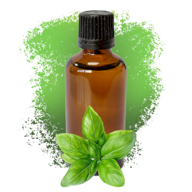 10x Basil Essential Oil 50ml - White Label