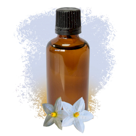 Jasmine Absolute Essential Oil 50ml - White Label