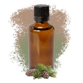 10x Pine Sylvestris (Scots Pine) Essential Oil 50ml - White Label