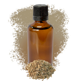 10x Dill Seed  Essential Oil 50ml - White Label