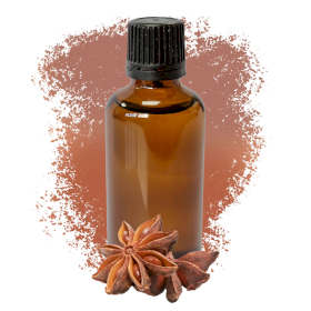 10x Aniseed China Star (Star Anise) Essential Oil 50ml - White Label