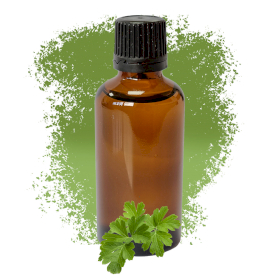 10x Parsley Essential Oil 50ml - White Label