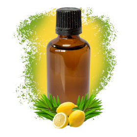 10x Lemon Tea TreeEssential Oil 50ml - White Label