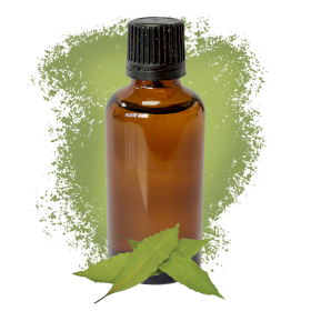 10x Bay Leaf  Essential Oil 50ml - White Label