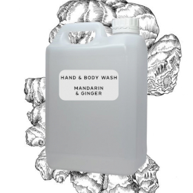 10x Mandarin & Ginger Hand & Body Wash (L)