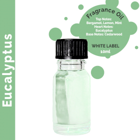 10x Eucalyptus Fragrance Oil 10ml - White Label