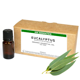 10x Eucalyptus Organic Essential Oil 10ml - White Label