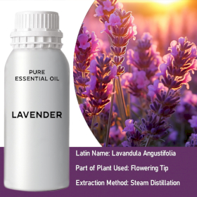 Lavender Bulk Essential Oil
