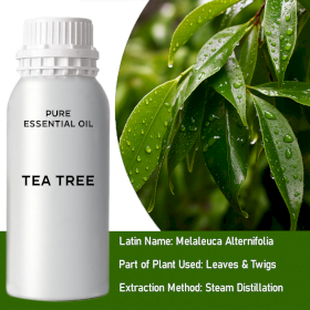 Tea Tree Bulk Essential Oil