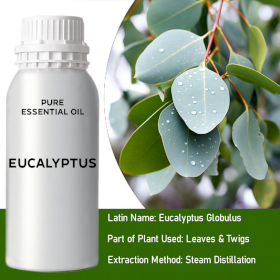 Eucalyptus Bulk Essential Oil