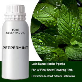 Peppermint (Piperita) Bulk Essential Oil