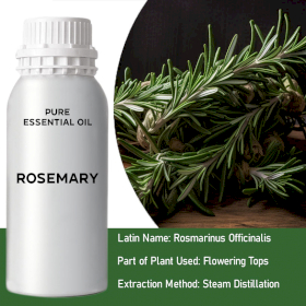 Rosemary Bulk Essential Oil