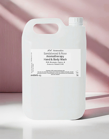 bulk hand body wash